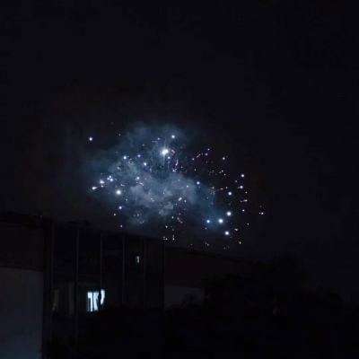 大闹女儿国手游下载